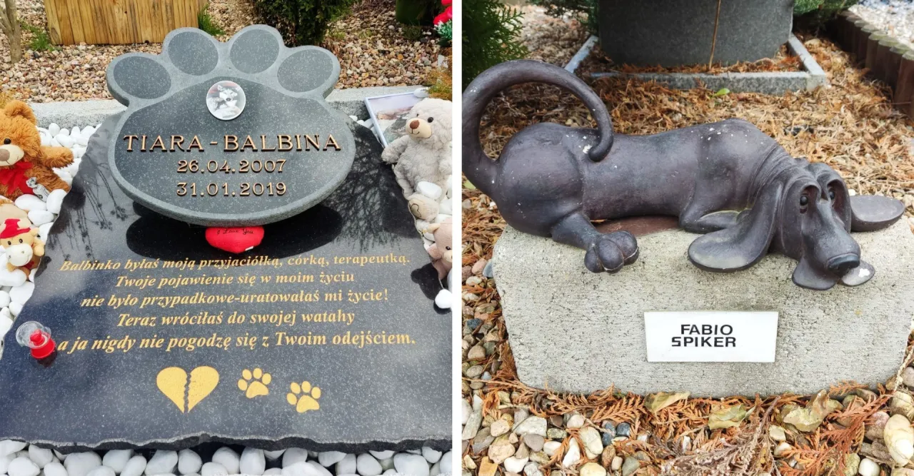 cmentarz dla zwierząt, nagrobki zwierząt, urna z prochami