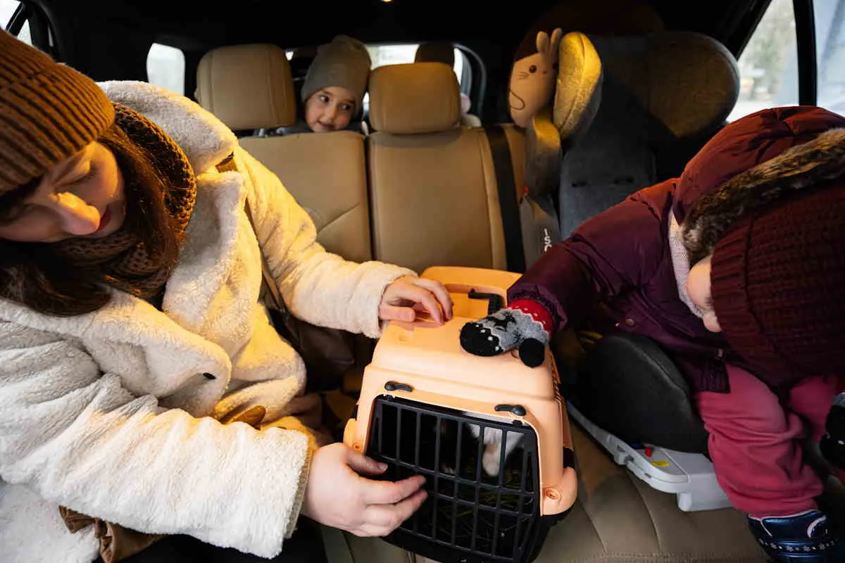 jak zmierzyć psa do transportera