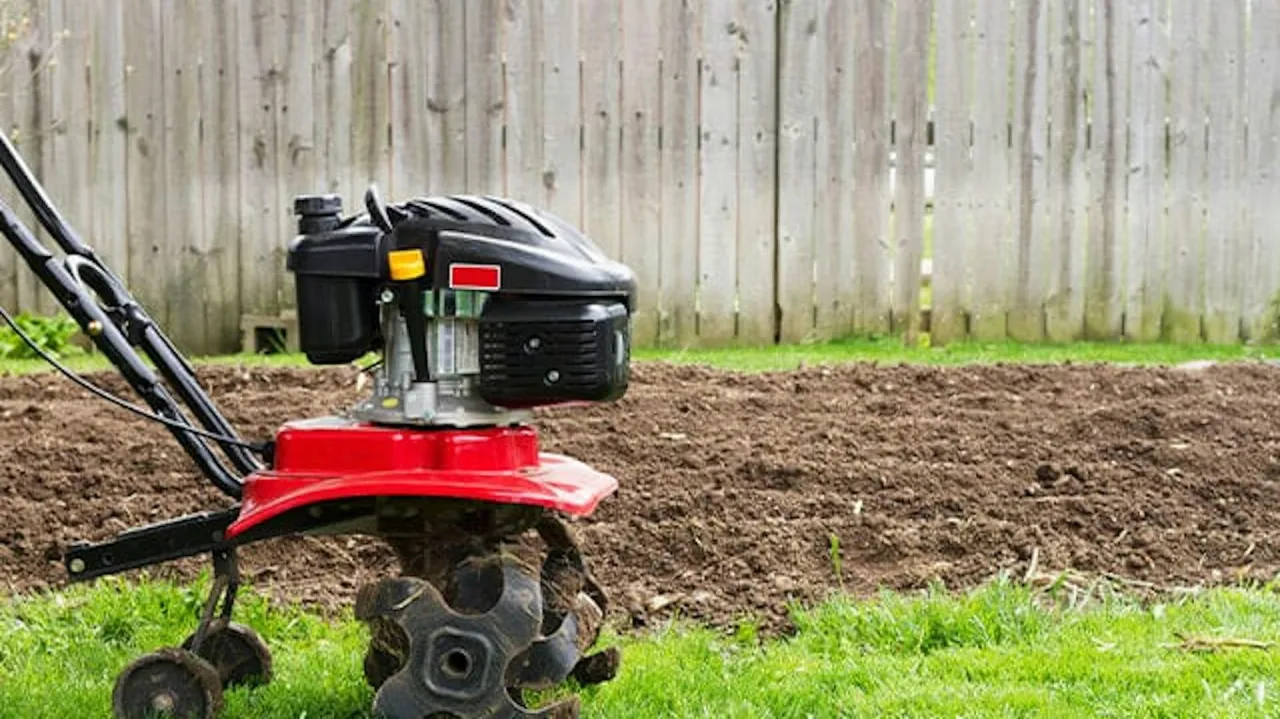 Czerwona glebogryzarka przygotowuje ziemię do sadzenia, spulchniając ją przed drewnianym płotem.