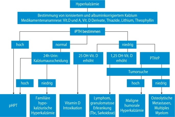 Hyperkalzämie Nierenschaden