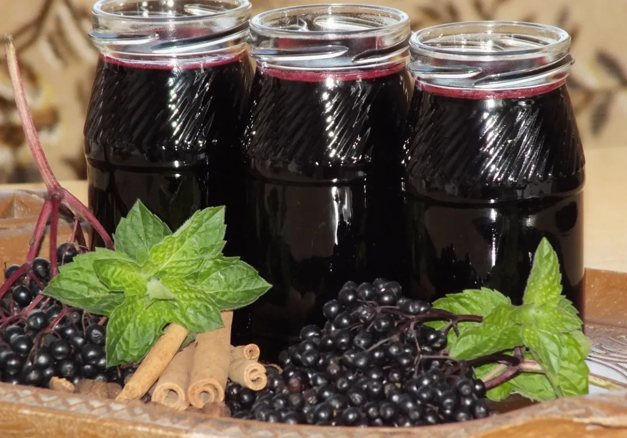 Sok z czarnego bzu przepis babci. Trzy butelki ciemnego soku, świeże owoce czarnego bzu, listki mięty i laski cynamonu.