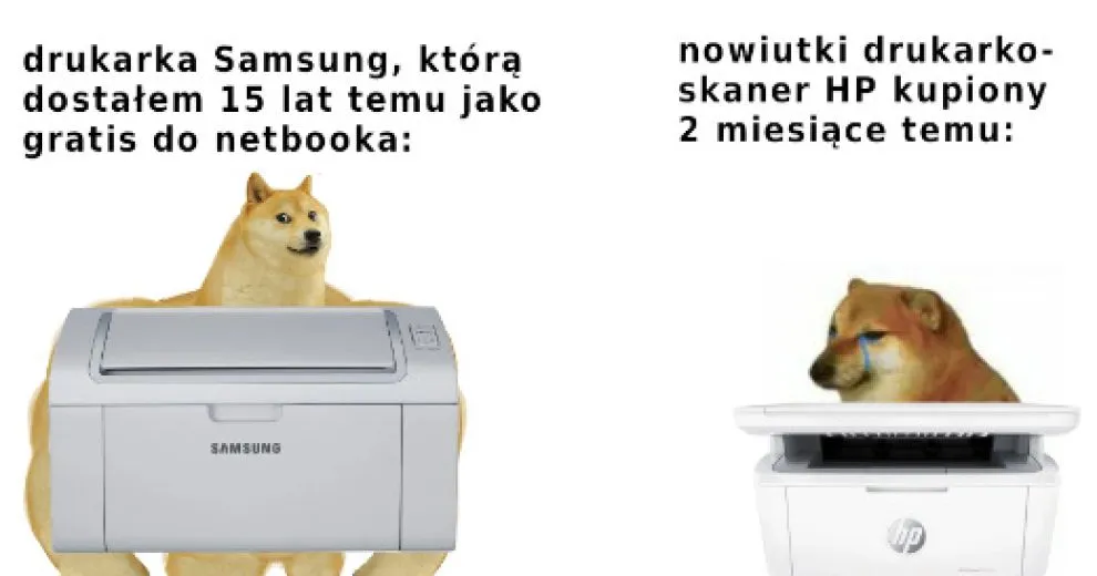 mem drukarka zwierzęta