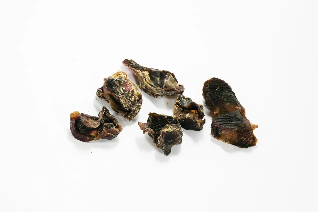 Suszone żołądki drobiowe, idealne dla psa. Czy pies może jeść żołądki drobiowe? Tak, to świetny przysmak!