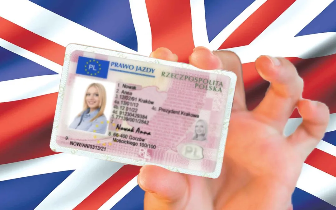 Zdjęcie Czy polskie prawo jazdy jest ważne w USA? Sprawdź, gdzie możesz jeździć legalnie