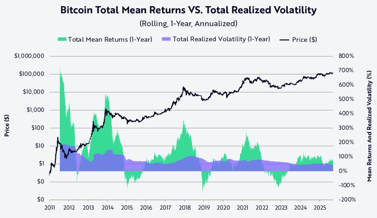 Bitcoin risk vs reward investment
