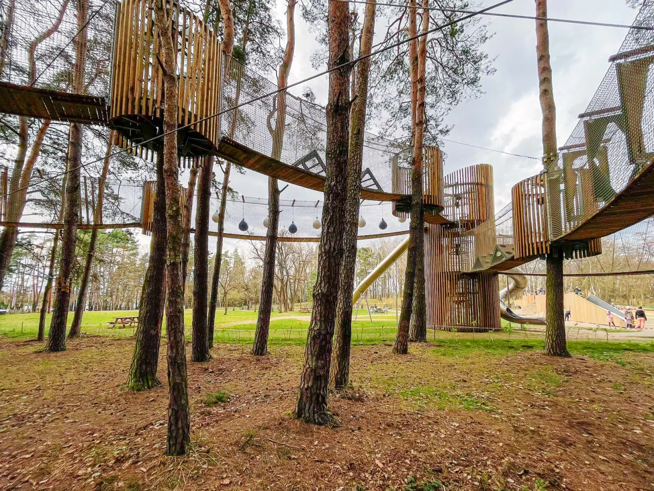 Park Linowy Lubin trasy dla dzieci i dorosłych