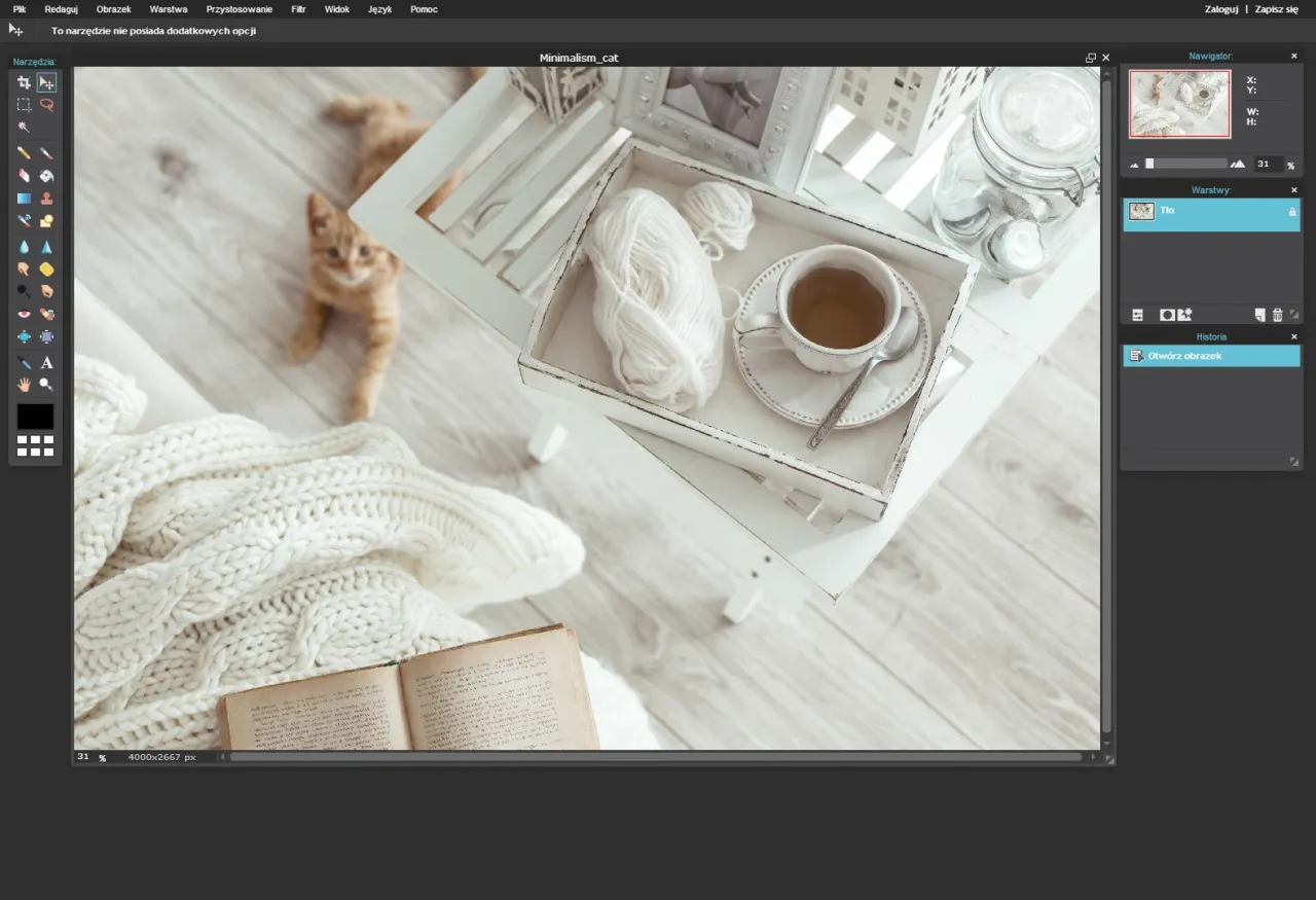 Zastosowania Adobe Photoshop, retusz zdjęć, projektowanie graficzne