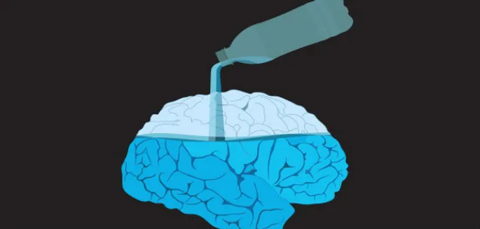 mózg i woda, wpływ wody na mózg grafika