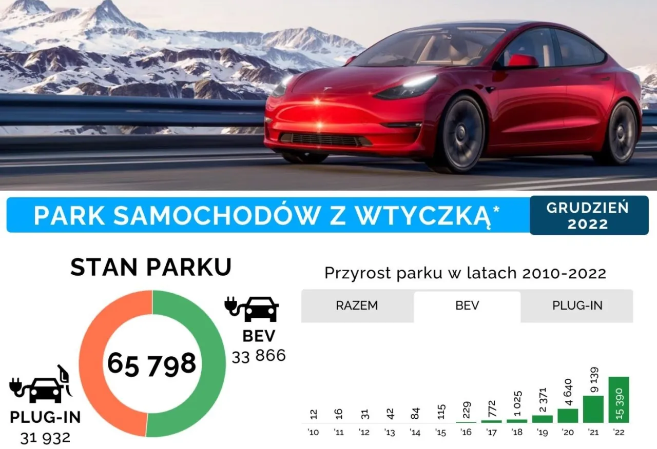 Rynek samochod&oacute;w elektrycznych i hybrydowych w Polsce