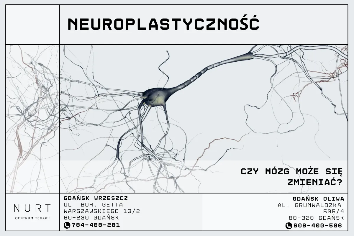 Neuroplastyczność m&oacute;zgu schemat