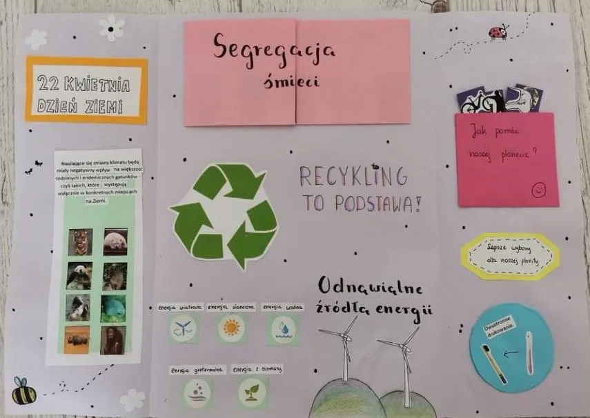lapbook o tematyce przyrodniczej wykonany przez dziecko