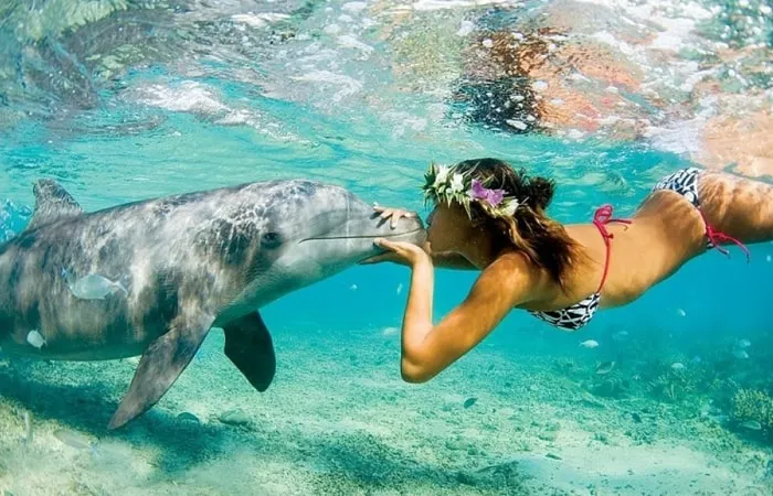 żółwie morskie diugonie delfiny Marsa Alam