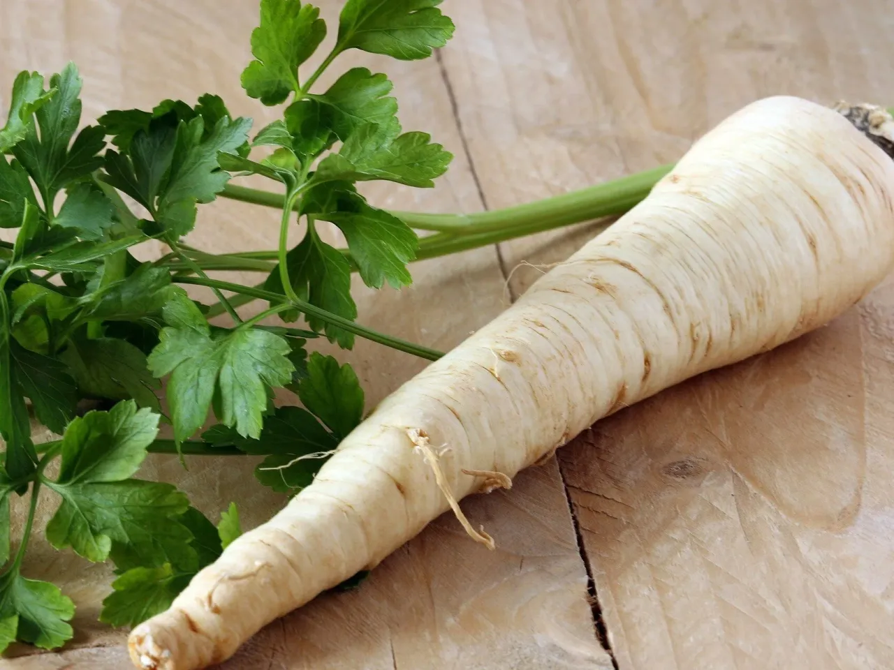 Korzeń pietruszki i natka pietruszki