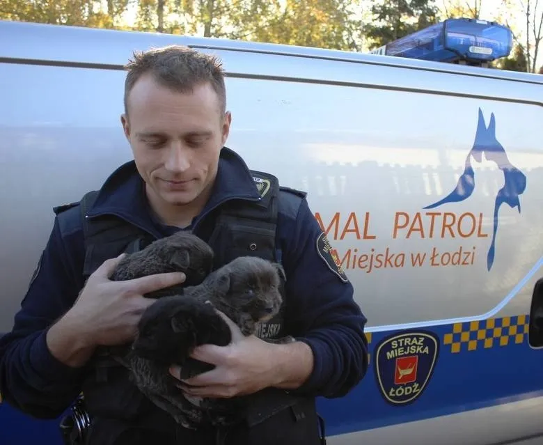 Zdjęcie Komendant straży miejskiej w Łodzi - Patryk Polit i jego inicjatywy