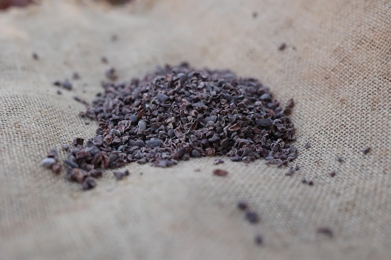 różne formy kakao (proszek, nibsy, pasta)