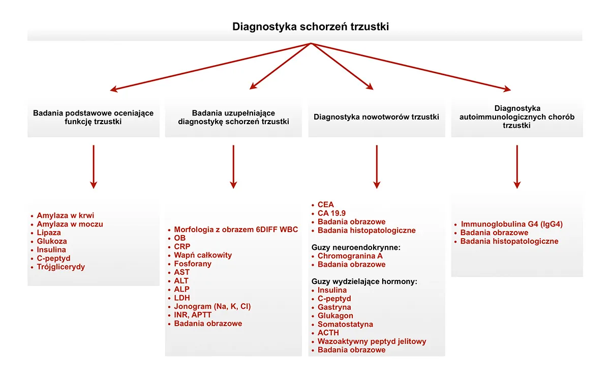 Badanie amylazy schemat