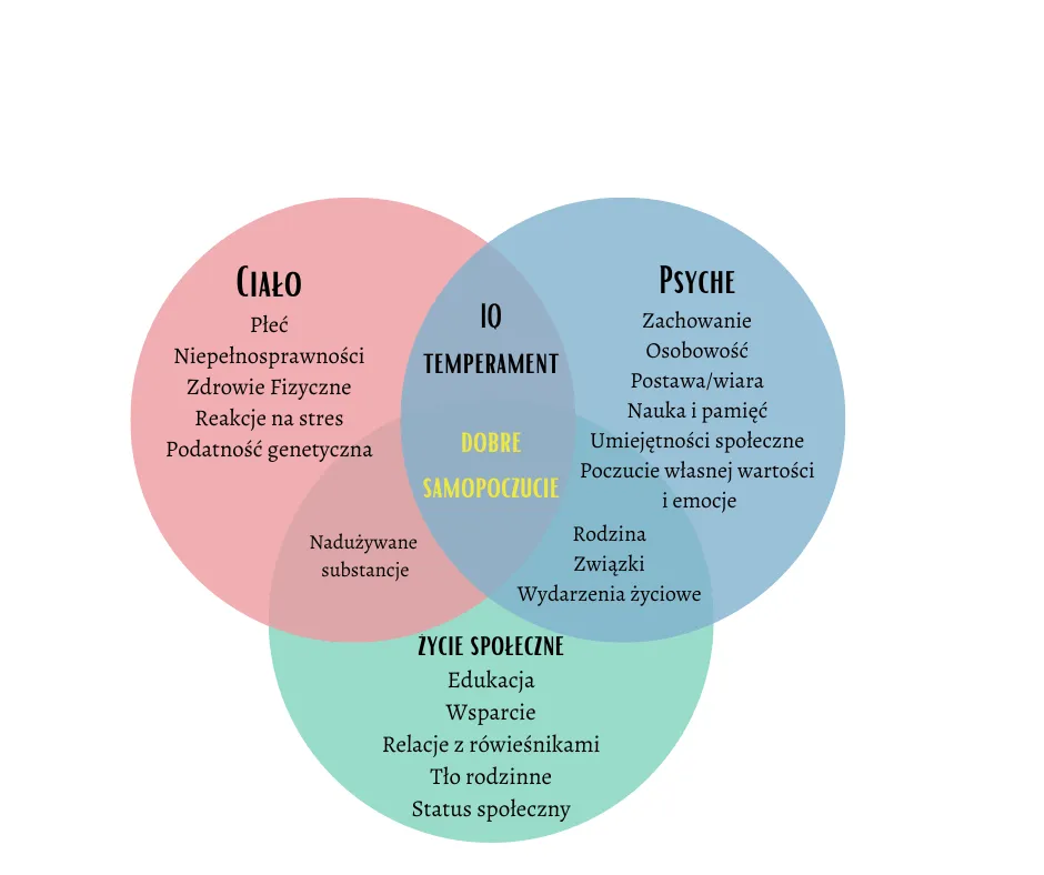 model biopsychospołeczny zaburzeń osobowości