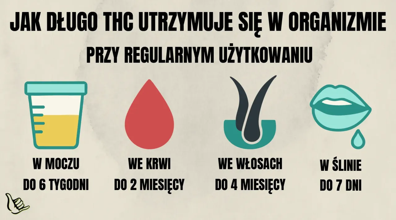 Narkotesty w pracy przepisy