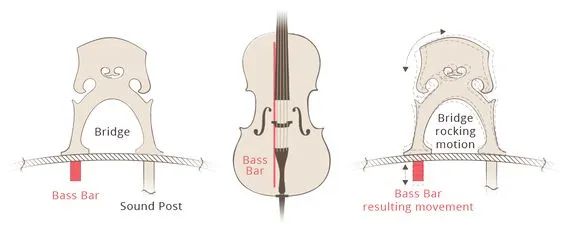 dusza i belka basowa skrzypce