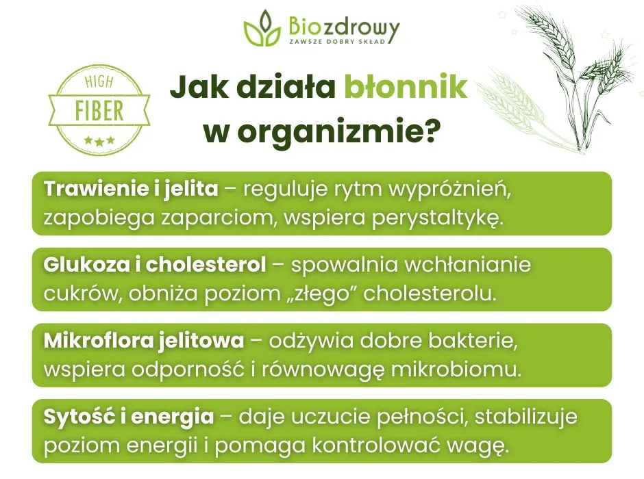 błonnik pokarmowy definicja i rodzaje infografika