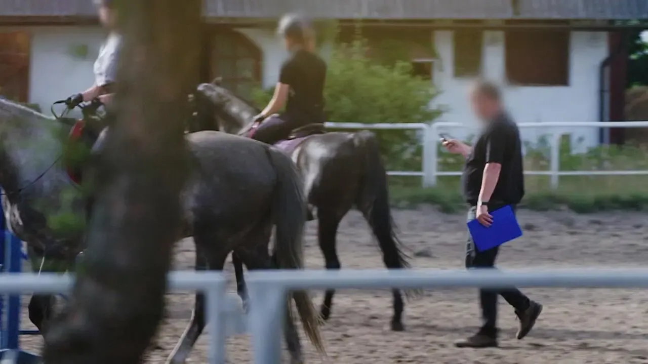 Stadnina Pegaz Dziemiany reportaż Superwizjer