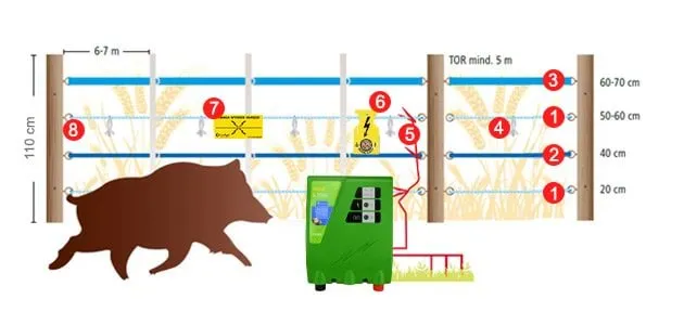zabezpieczenie posesji przed dzikami