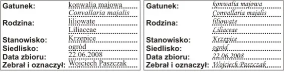 przykładowa karta zielnikowa