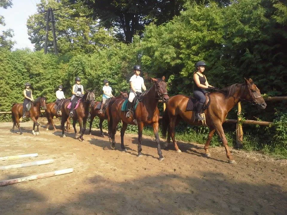 jazda konna w terenie Podkarpacie