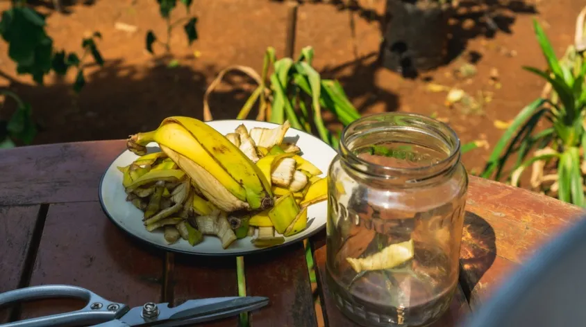 domowy nawóz ze skórek banana różne formy