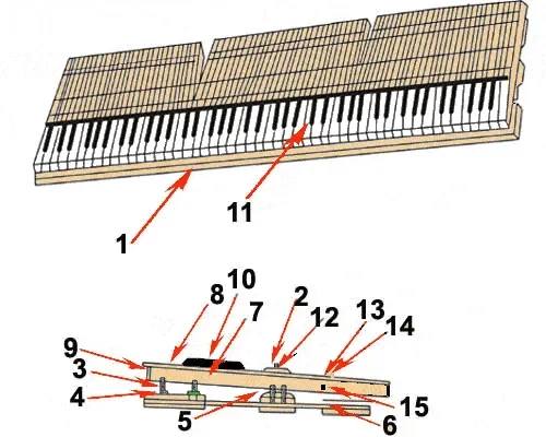 budowa klawiatury fortepianu schemat