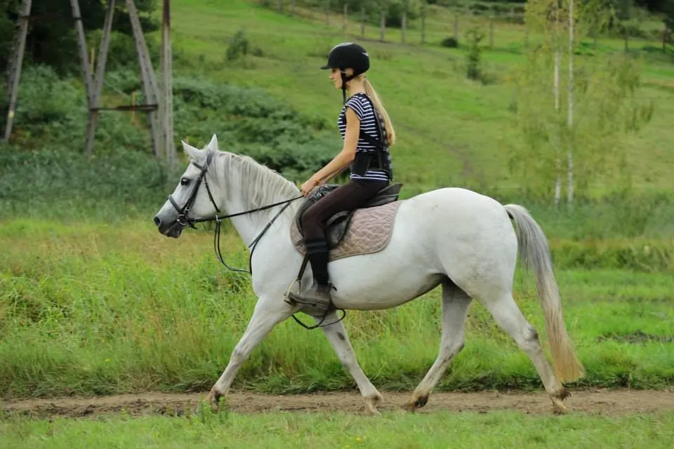 Zdjęcie Najlepsze stadniny koni w Ełku - jazda konna i hipoterapia dla każdego
