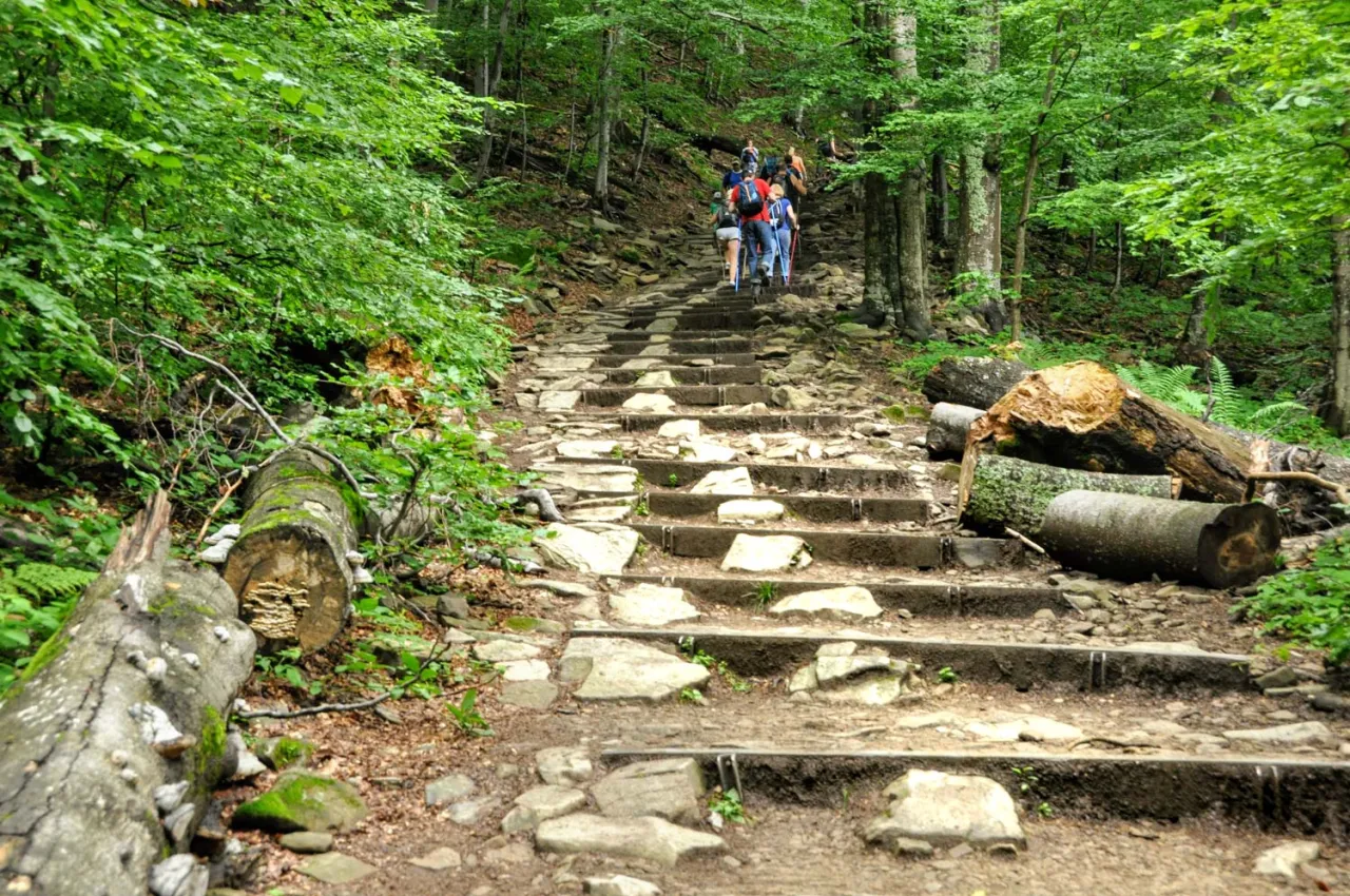 Tarnica szlak niebieski Wołosate