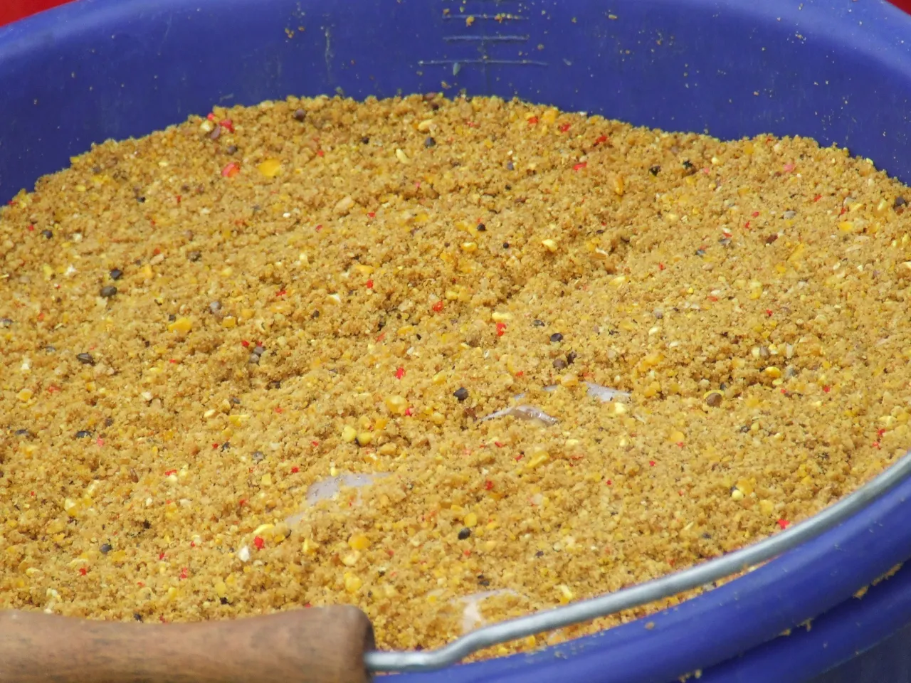 Zbliżenie na wiadro z zanętą na płoć. Mieszanka zawiera drobne ziarna, kukurydzę i czerwone dodatki, gotowa do łowienia.