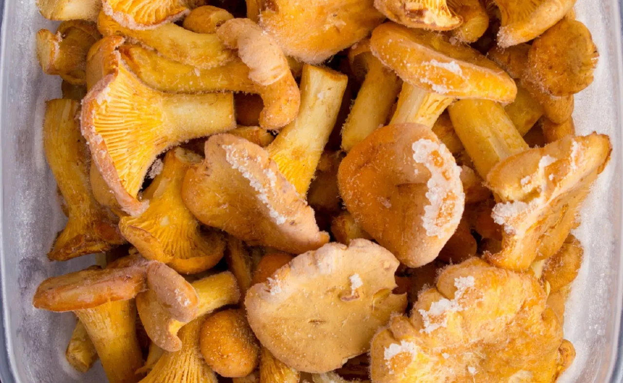 mrożone kurki po blanszowaniu