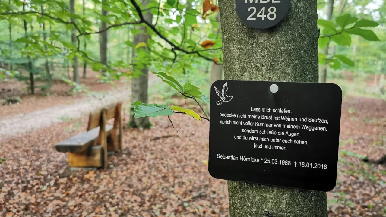 FriedWald cmentarz leśny w Niemczech