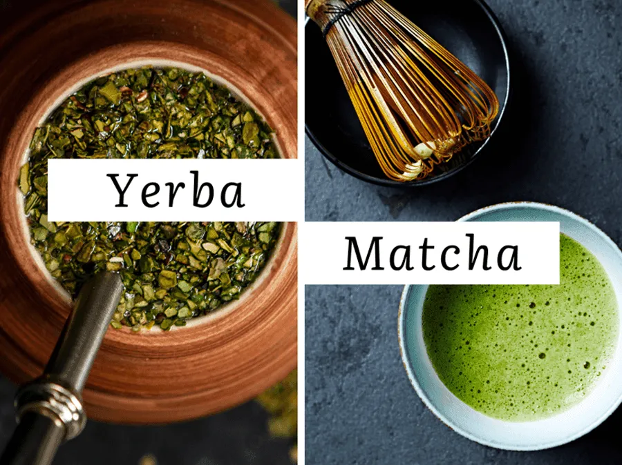 rodzaje herbaty matcha yerba mate czarna zielona