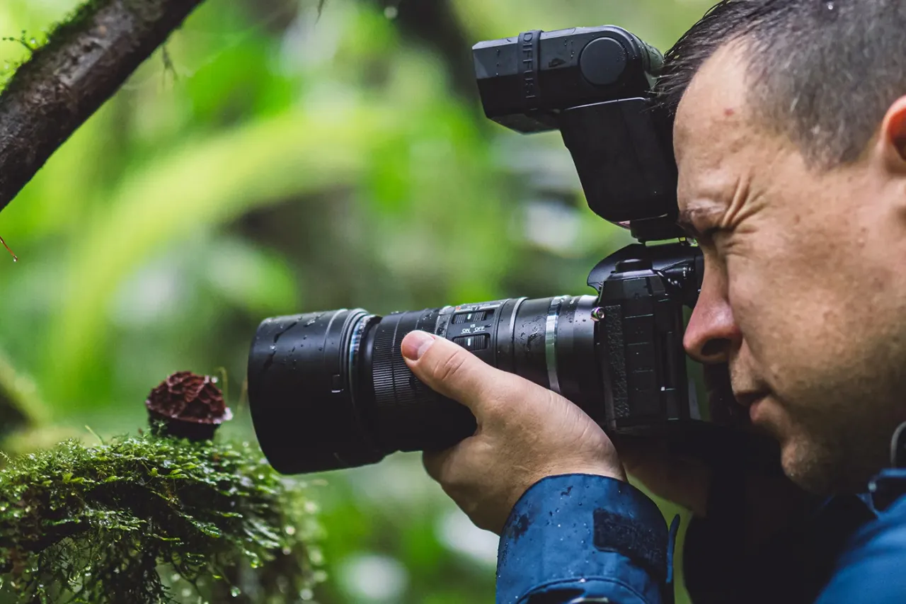 różne style fotografii portret krajobraz makro