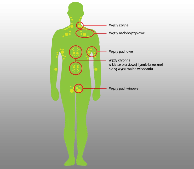 Mapa węzłów chłonnych człowieka