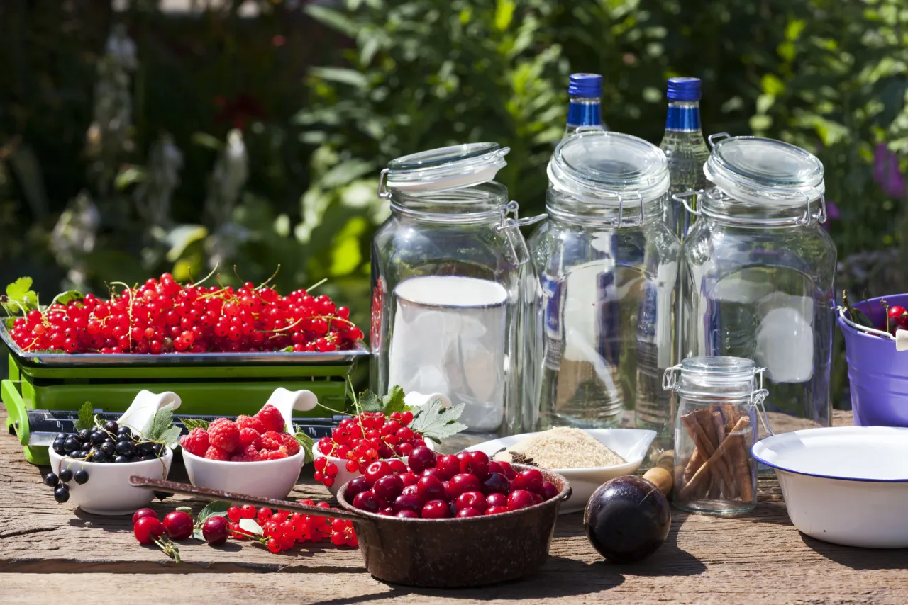 różne owoce do nalewek i spirytus