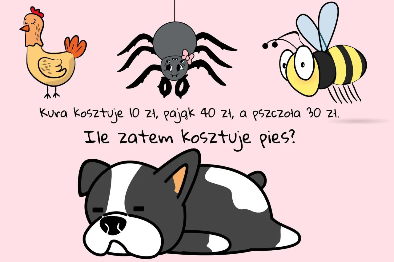 Kura kosztuje 10 zł, pająk 40 zł, a pszczoła 30 zł. Ile zatem kosztuje pies? Ta zagadka o psie czeka na rozwiązanie.