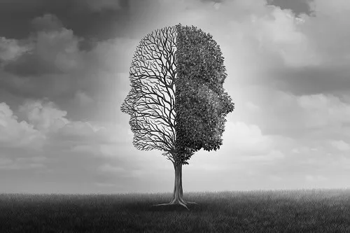 choroby psychiczne objawy agresja typy