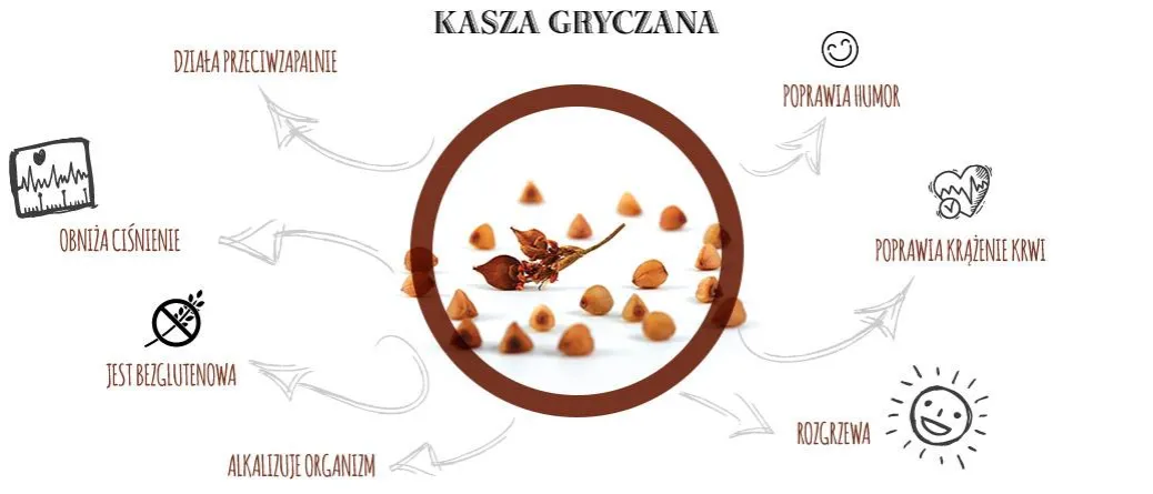 Składniki odżywcze kaszy gryczanej infografika