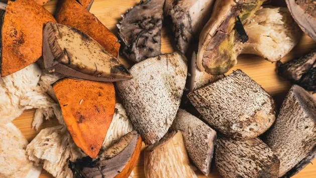 Robaczywe opieńki, grzyby z robakami, czyszczenie grzybów z robaków