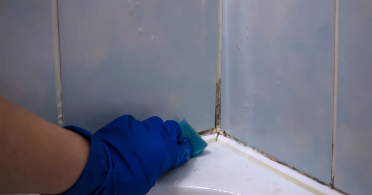 pleśń w łazience wpływ na zdrowie