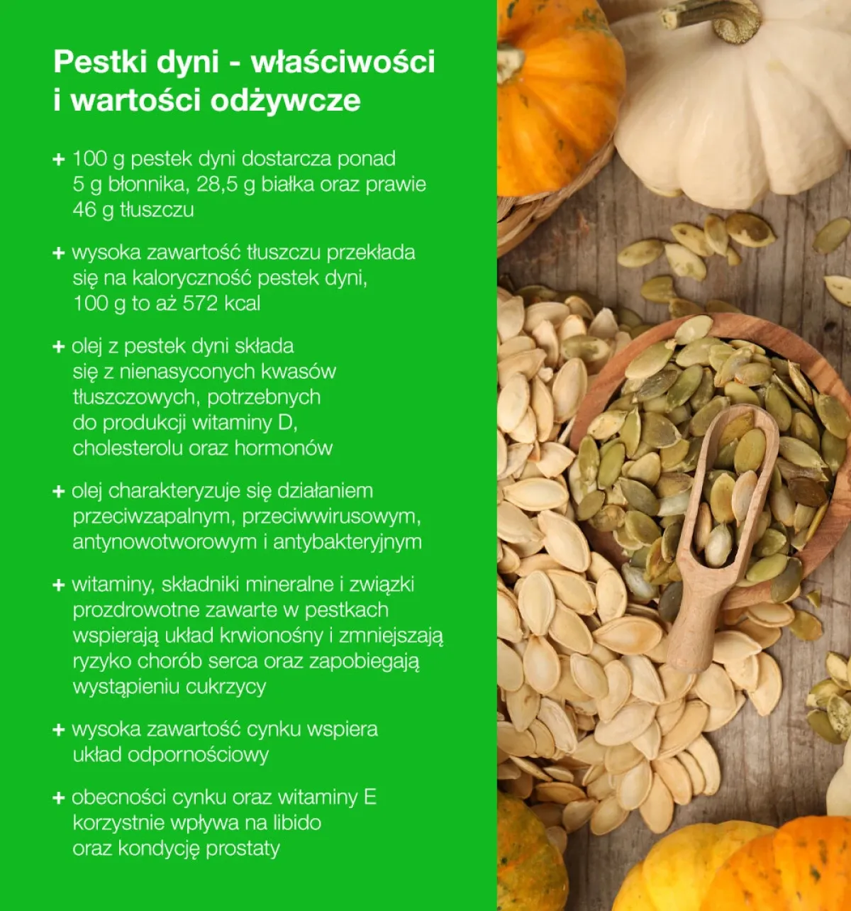 Zdjęcie Czy pies może jeść pestki dyni? Oto, co musisz wiedzieć o bezpieczeństwie