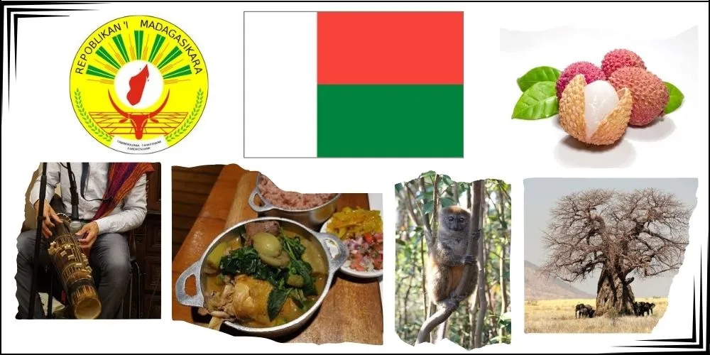 Zdjęcie Jak wygląda flaga Madagaskaru? Odkryj jej symbolikę i historię