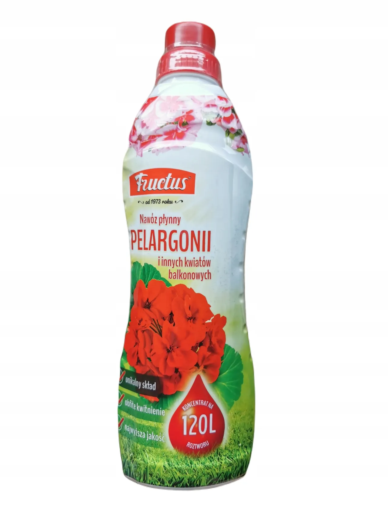 Zdjęcie Najlepszy nawóz pod pelargonie, który zapewni zdrowy wzrost i obfite kwitnienie
