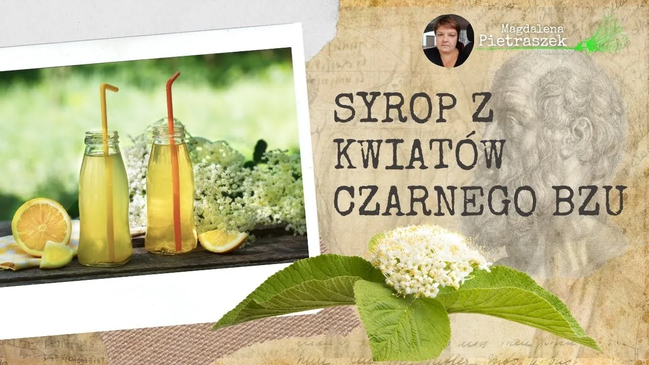 Zdjęcie Letnia ochłoda z syropu z kwiatu bzu? Oto przepis prosto od babci