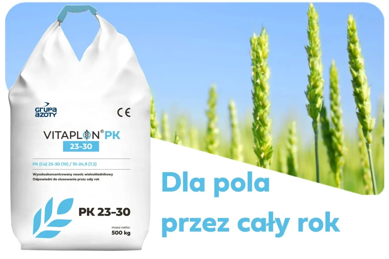 Zdjęcie Jaki nawóz pod żyto ozime? Odkryj najlepsze metody nawożenia
