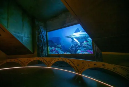 Zdjęcie Krasiejów oceanarium: Zobacz niesamowite prehistoryczne stworzenia